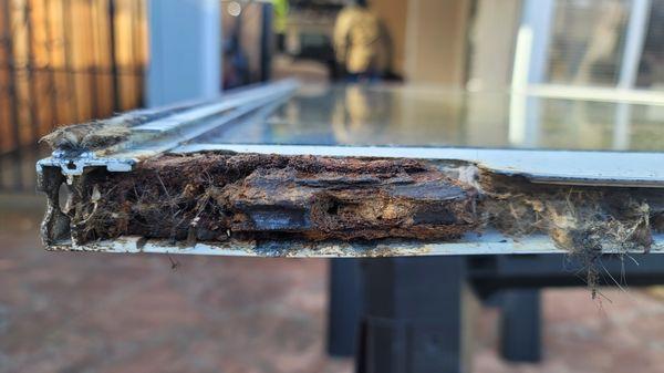 This is a pic of a Patuo door roller that is completely "Frozen" due to RUST.