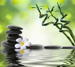 Looking for new ways to relieve stress and increase relaxation?  Try Reiki!