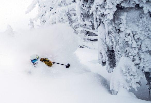 Powder Days