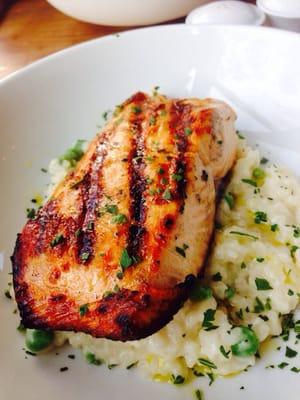 Salmon with risotto