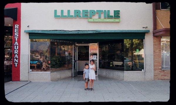 Purchasing our first bearded dragon. (June 2021)