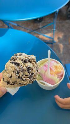 Coffee Oreo and Rainbow Sorbet