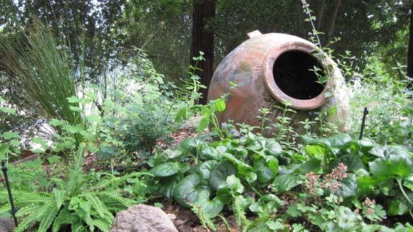 Native plant Shade garden in Berkeley.