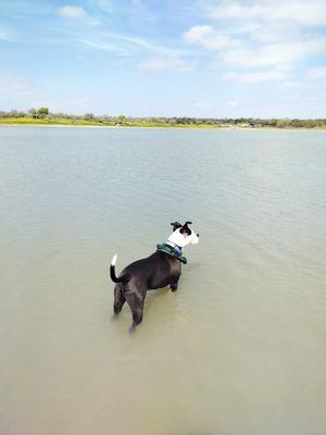 Lake Corpus Christi State Park