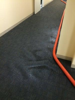 Broken Pipe in Bank Finished basement