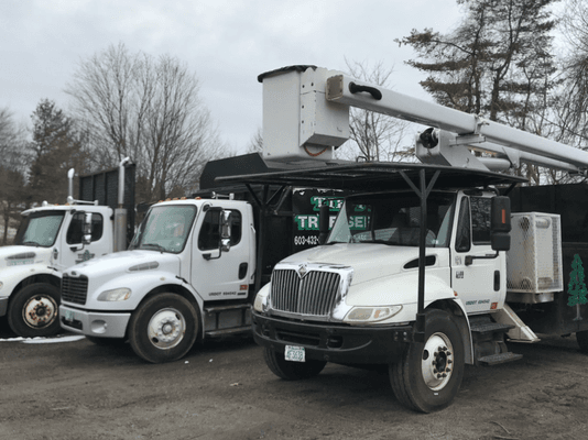 Tip Top Tree Services trucks.