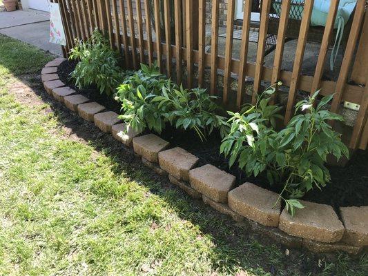 Nice little retaining wall