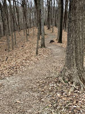 Hiking trail