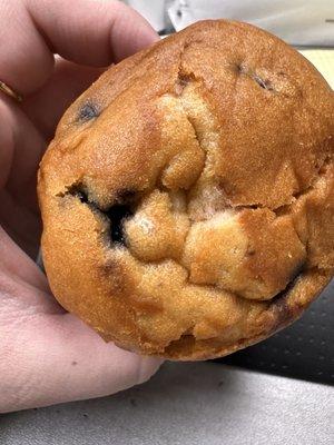 Mold on top of the muffin