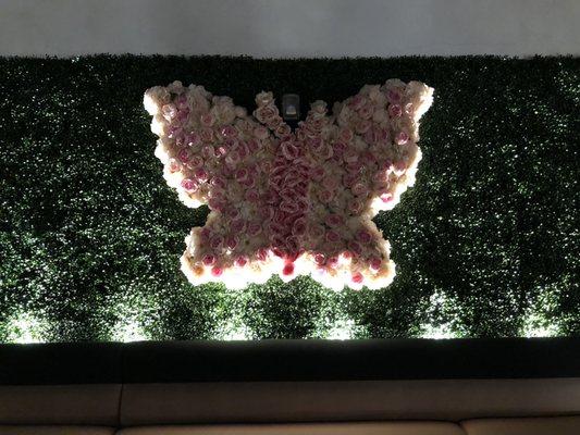 Butterfly wall