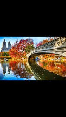 Located footsteps from Central Park