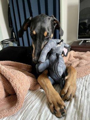 Nails clipped! And her new toy