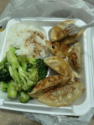 Gyoza lunch special