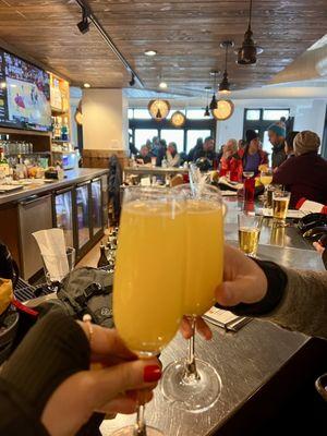 Mimosas during the storm