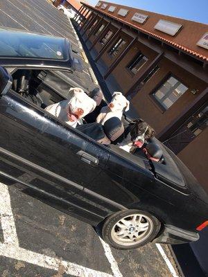 Father Zues and two sons Tucker and Oscar