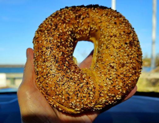 Biggie Bagel!!!