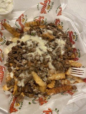 Carne Asada Fries