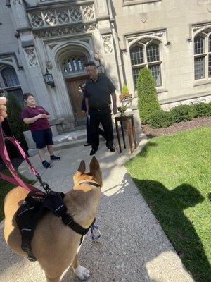 Blessing of the animals