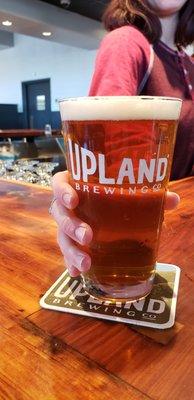 Dragonfly IPA - Indiana's #1 selling IPA