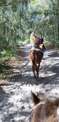 A beautiful trail ride!!!