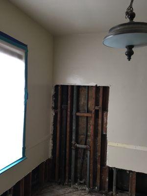 Old water supplies lines can lead to mold growth