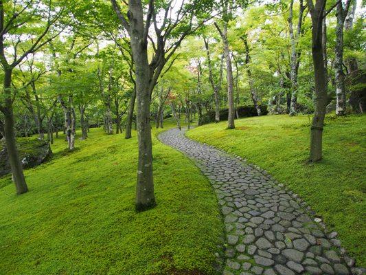 Gardens in Hakone, Japan