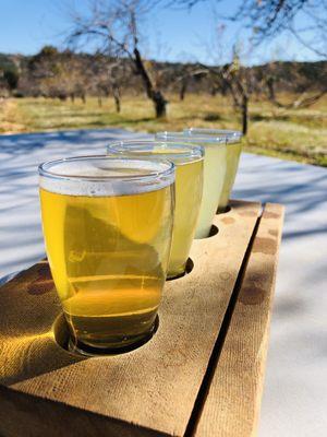 Cider tasting in the orchard. So tasty & beautiful.