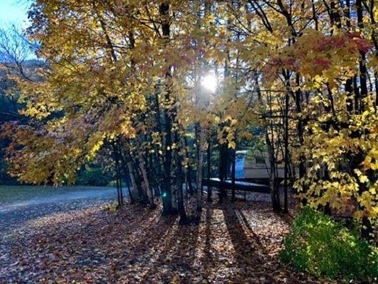 Lake George Schroon Valley Campground