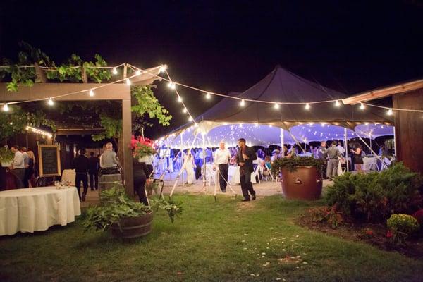 Tent lighting and part of the lighting over the open air cocktail hour space.