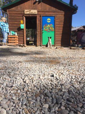 Midtown Mountain Campground is pet friendly. Ruff!