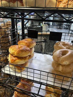 Brooklyn Bagels actively has a cockroach infestation. Here you can see a roach on the bagel rack in which management still chose to serve.