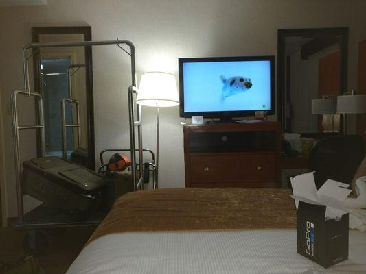 Small room but king bed and jacuzzi tub hardly any space around the bed to walk