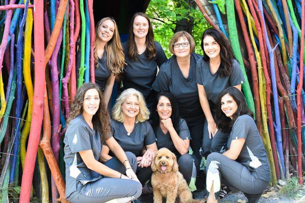 Our wonderful team and therapy dog Buddy!