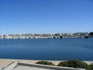 Visit our site: www.wmpre.com, for the newest and active properties in the East Bay