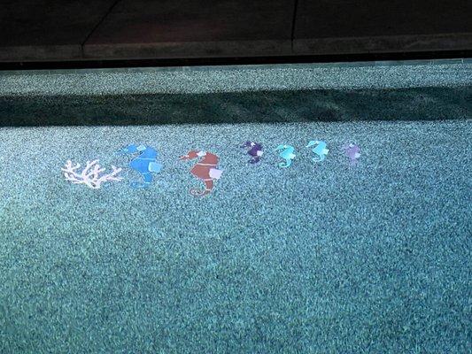 Sea creatures in our pool