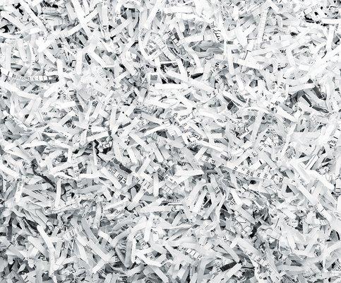 Shredded paper bits