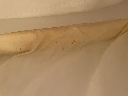 Bottom of shower curtain moldy