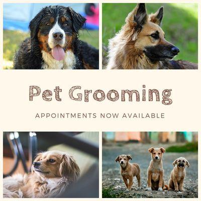 Grooming Monday, Wednesday, Thursday, Friday, & Saturday 9am-6pm