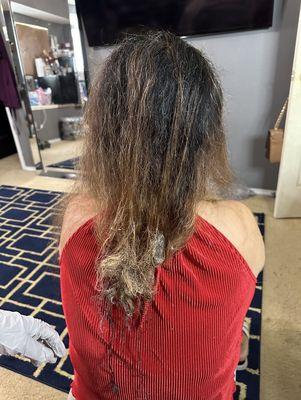 The back of moms hair while she was experiencing fallout and breakage, before the hair cut