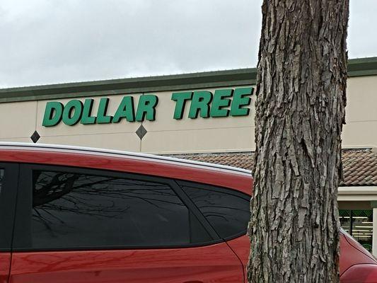 Dollar tree by a tree