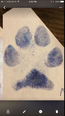 My favorite. The true paw print of my K9 soulmate. I had taken the print a few years before she left me.