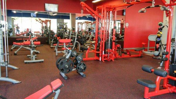 You have to check out the free weight area, it's waiting for you!