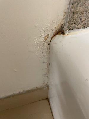 Mold/mildew around tub