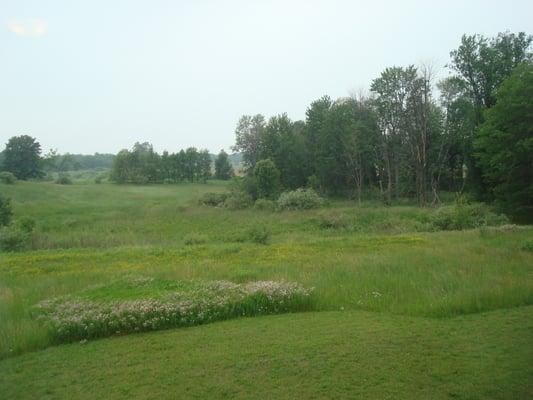 View from room 216 (back of the property)