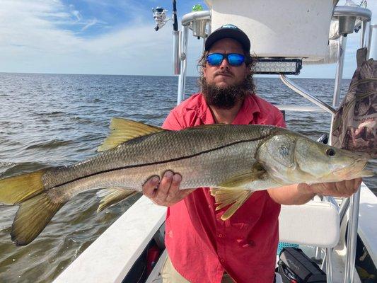 Snook in Bayport, FL