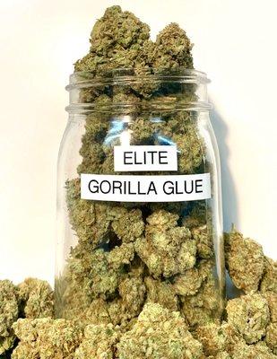 Elite Shelf Gorilla Glue