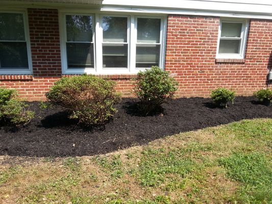 Mulch and mulch bed creation