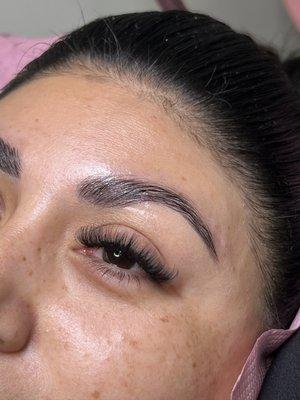 Soft volume & tint brows