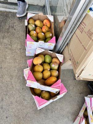 Mangoes