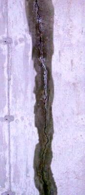 Leaking foundation crack can cause a wet basement